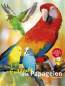 Preview: Entdecke die Papageien